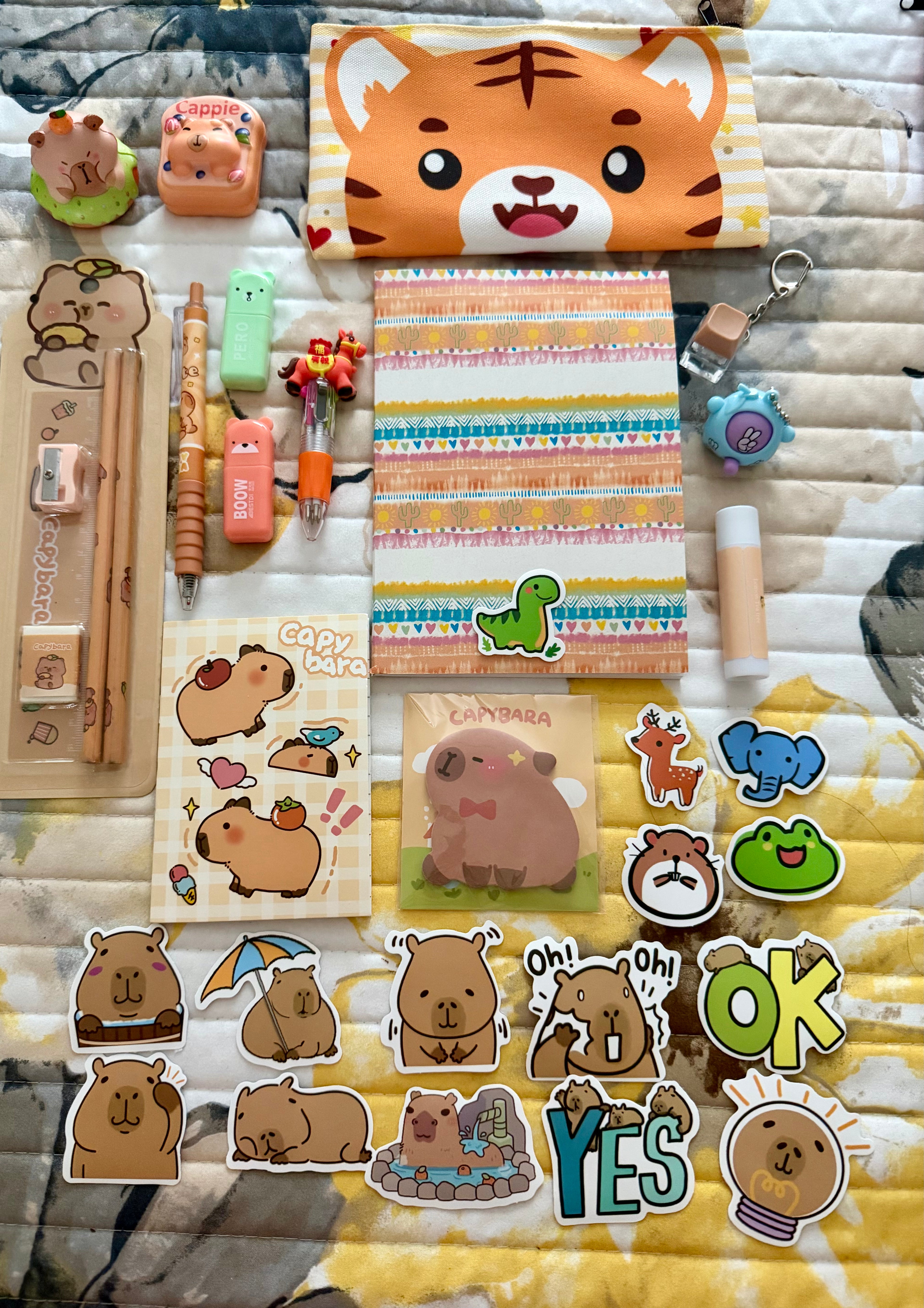 Upgraded Capybara Kids Bundle