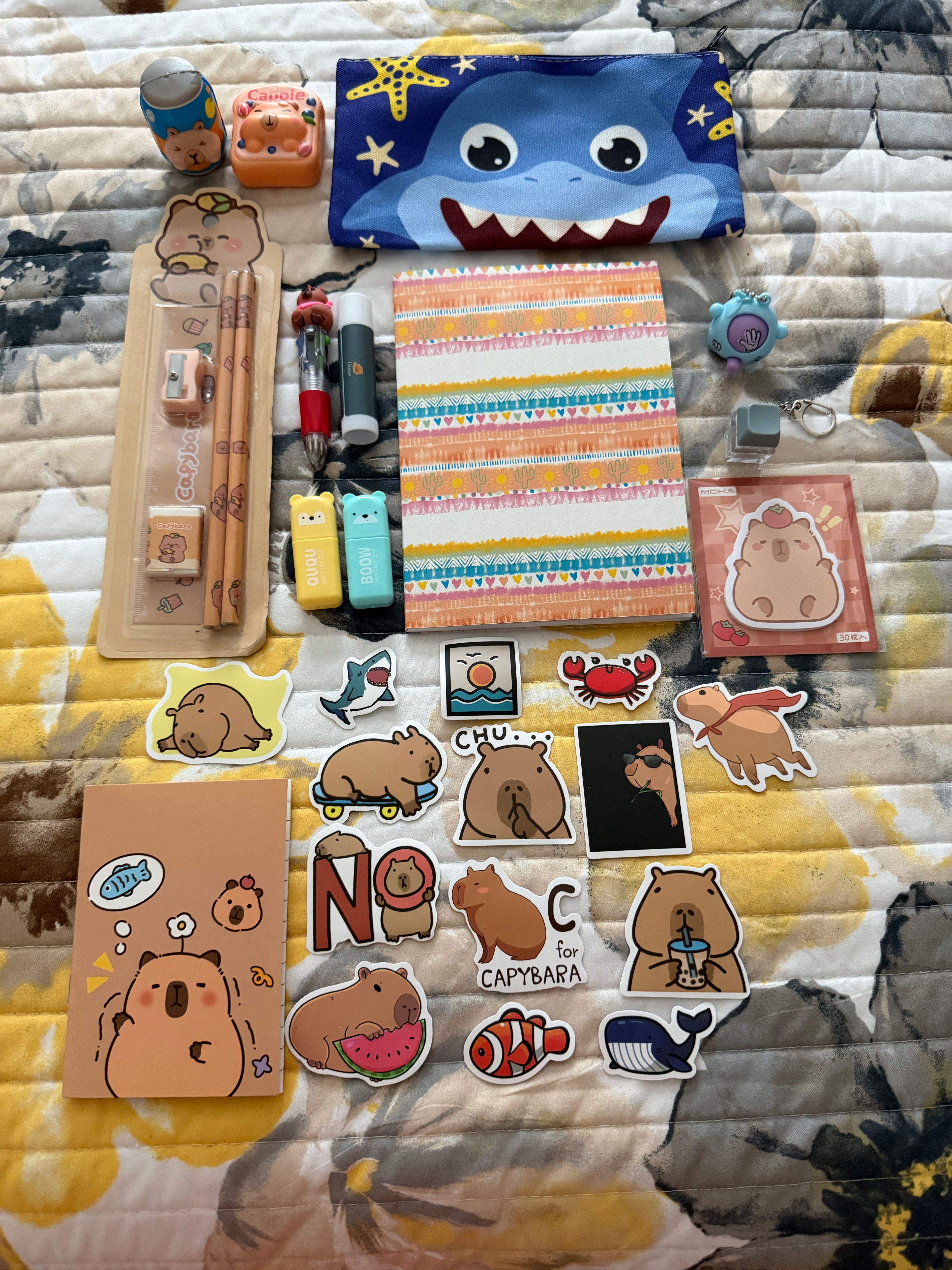 Upgraded Capybara Kids Bundle
